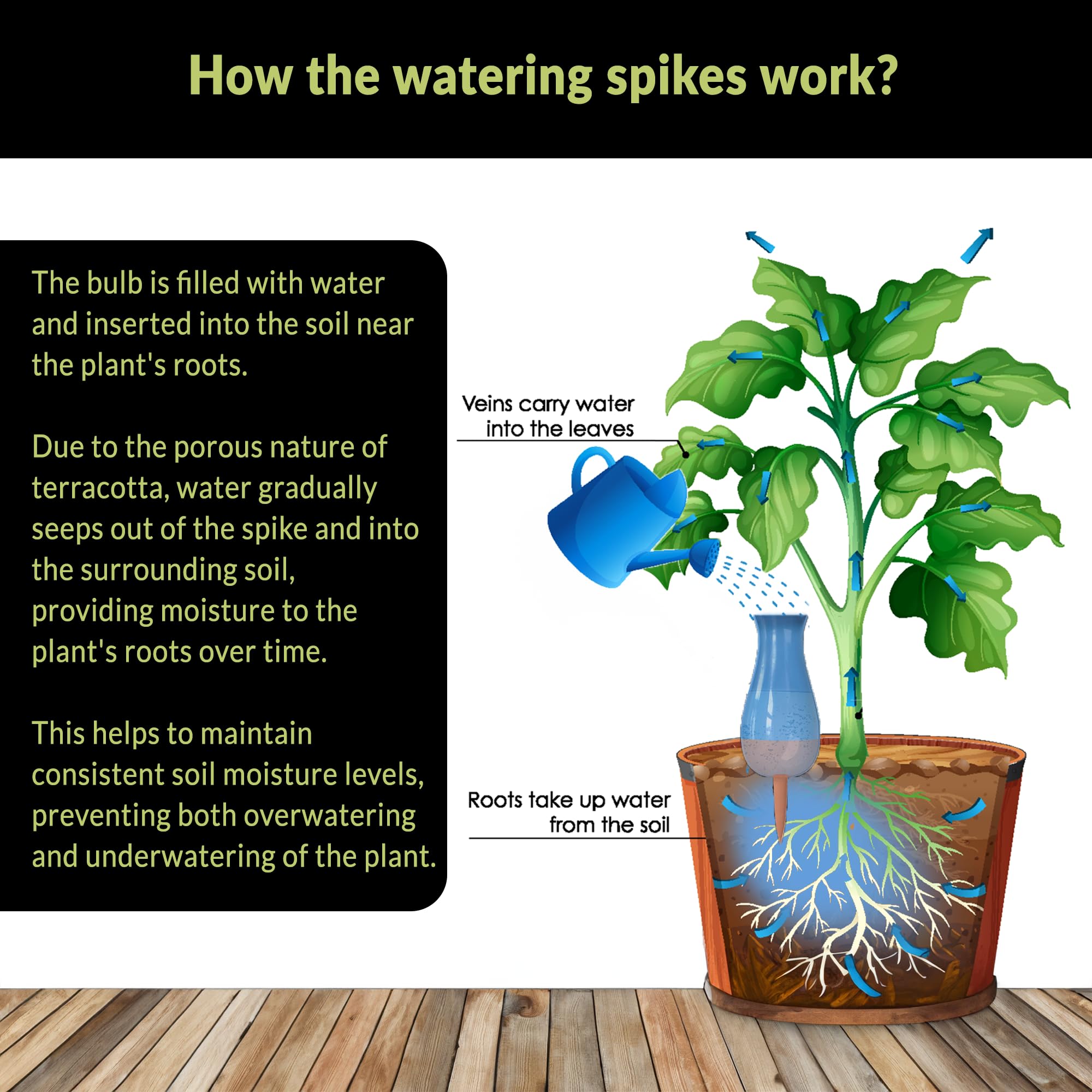 SmartiLiving low-profile stake buried in soil for discreet watering
