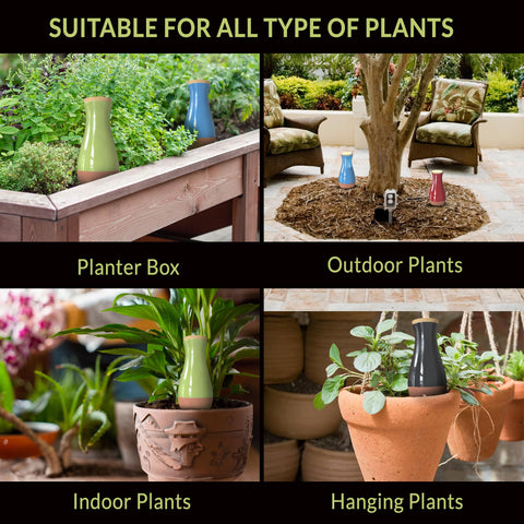 SmartiLiving self-watering system providing consistent moisture for plants