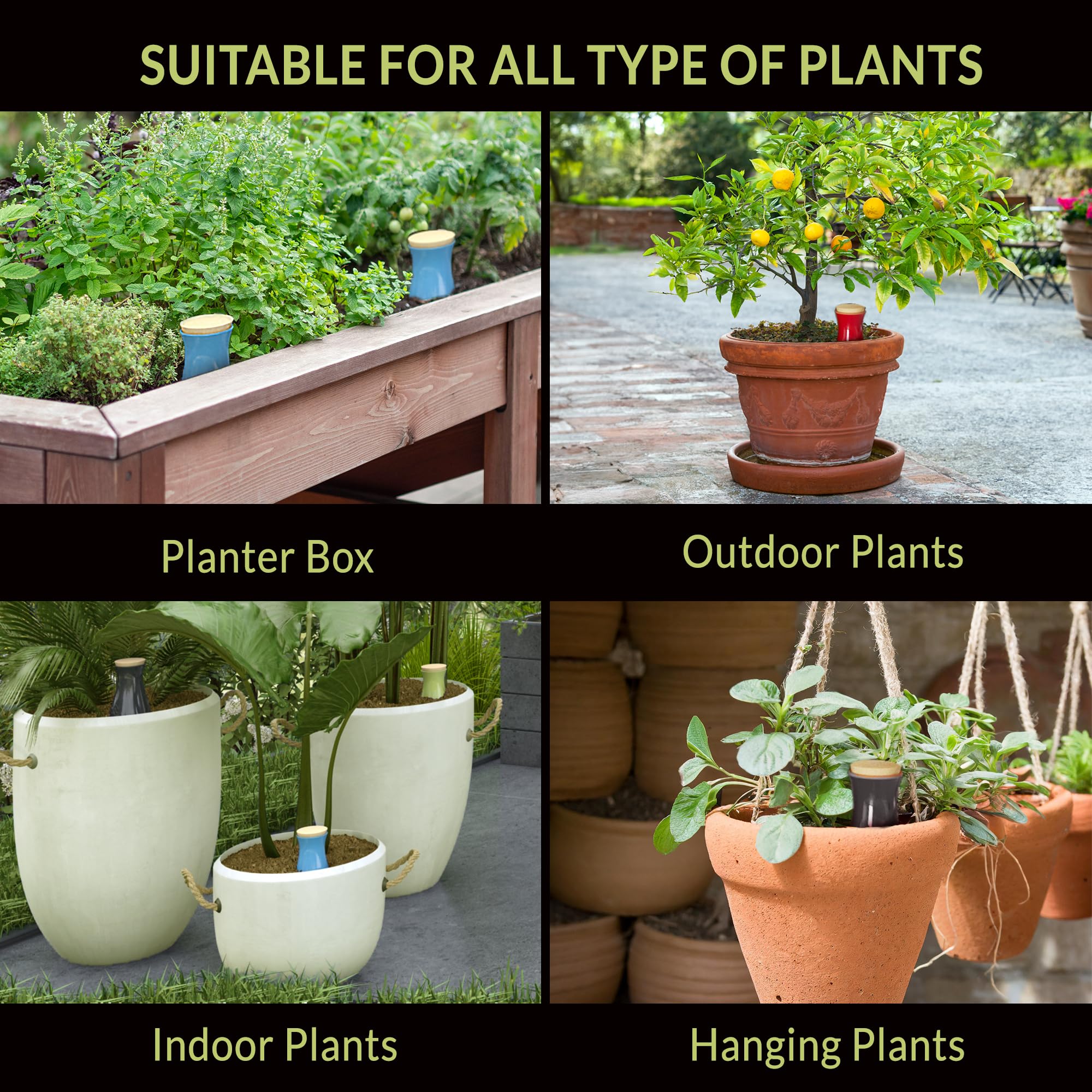 SMARTILIVING Ollas vacation watering solution keeping indoor plants hydrated away