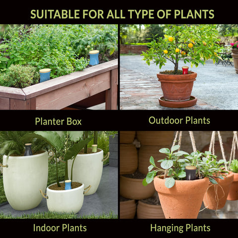 SMARTILIVING Ollas vacation watering solution keeping indoor plants hydrated away