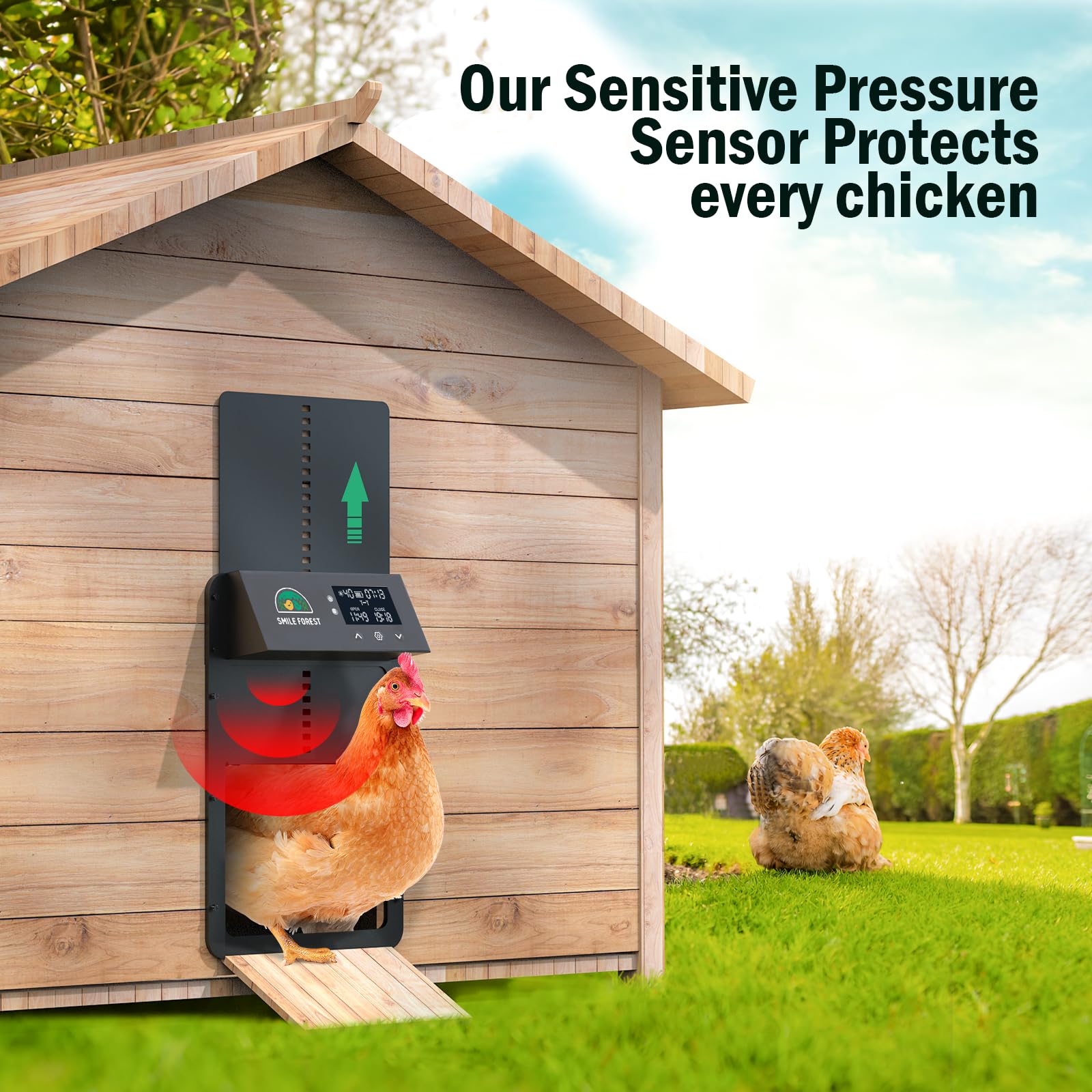 Smile Forest anti-pinch sensor safeguards chickens during automatic operation
