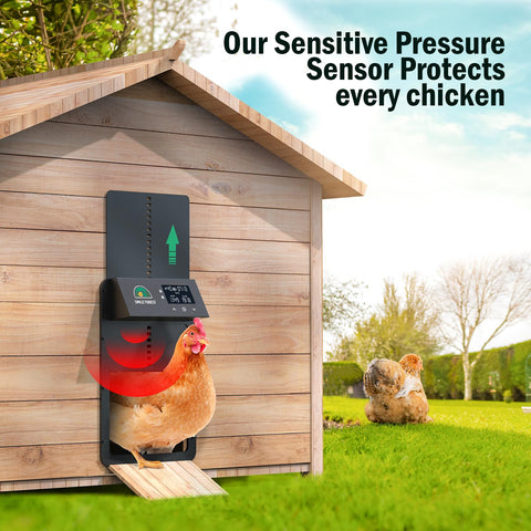Smile Forest anti-pinch sensor safeguards chickens during automatic operation