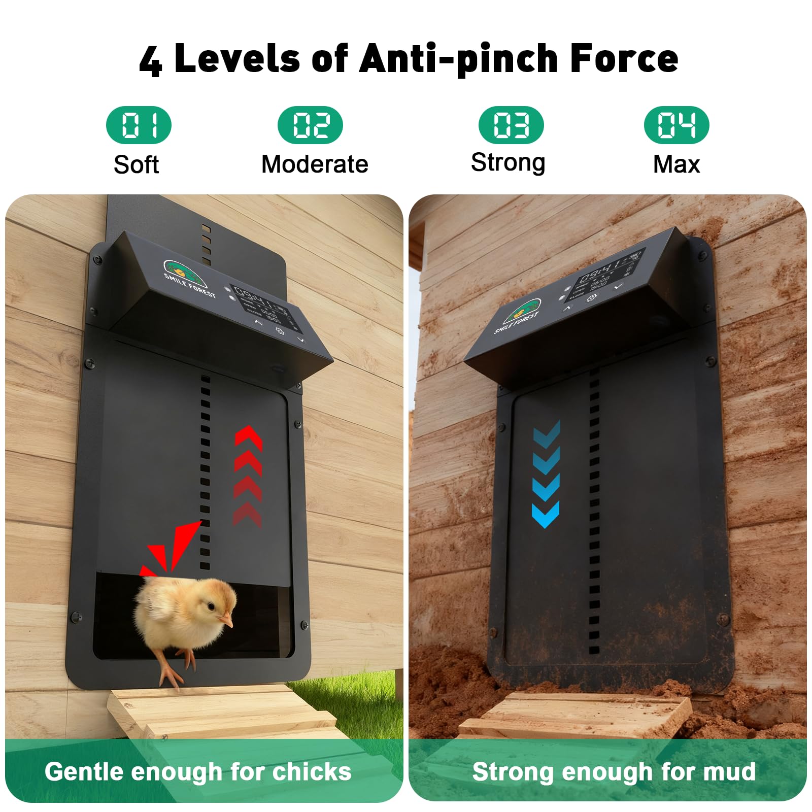 SMILE FOREST mode interface showing four adjustable options