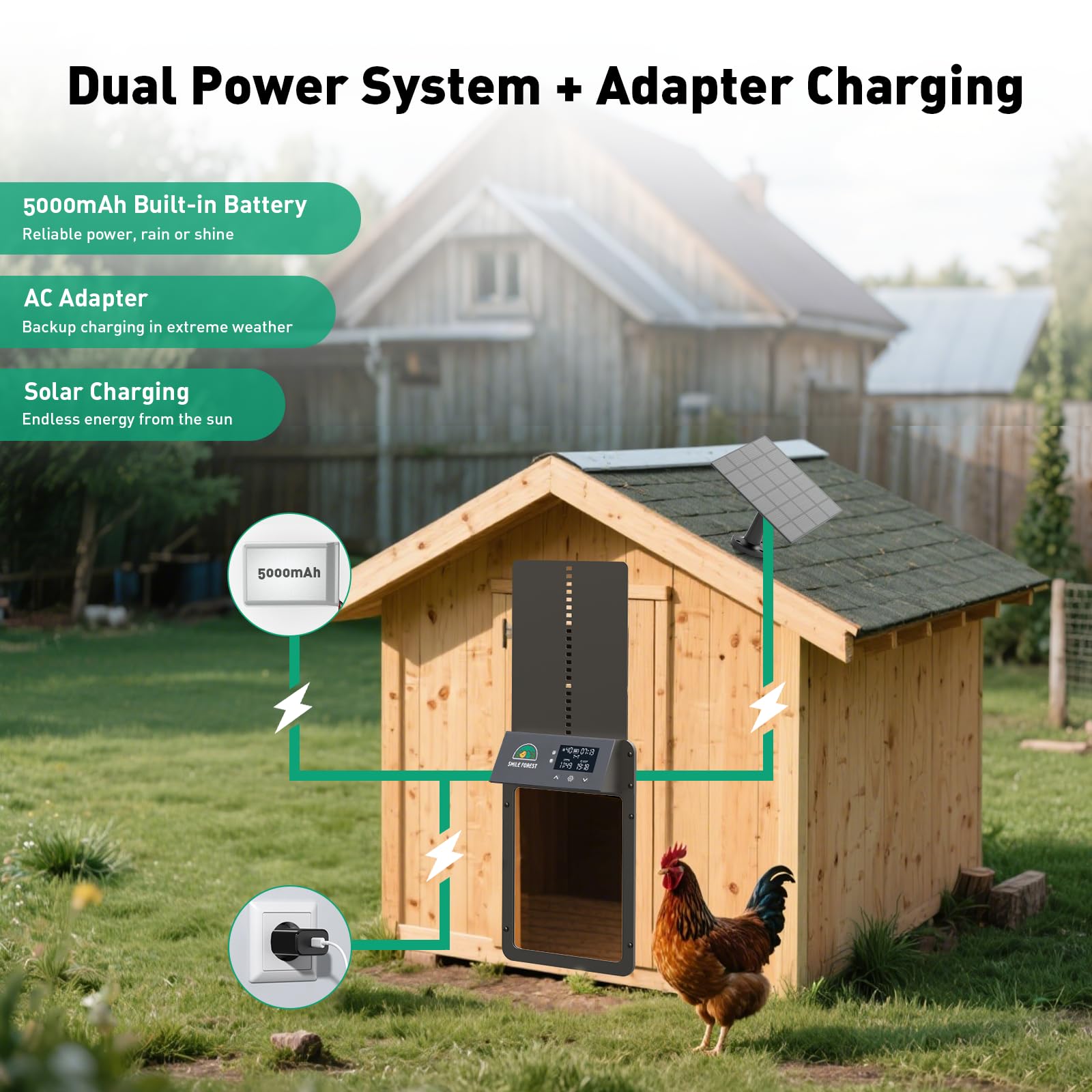 SMILE FOREST predator-proof safety lock protecting chickens