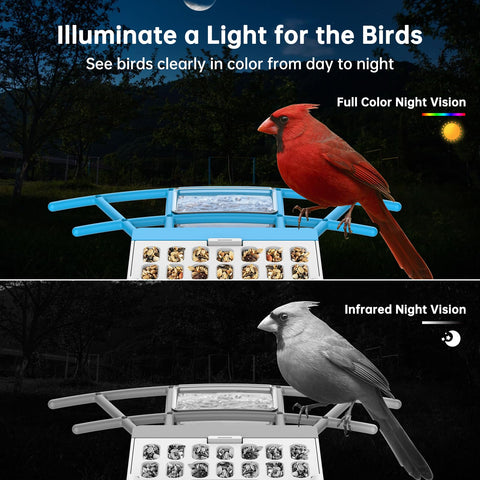 SMONET AI species recognition highlights birds for learning