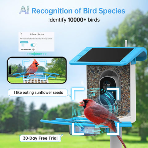 SMONET bird feeder camera on tree shows birds arriving in your backyard