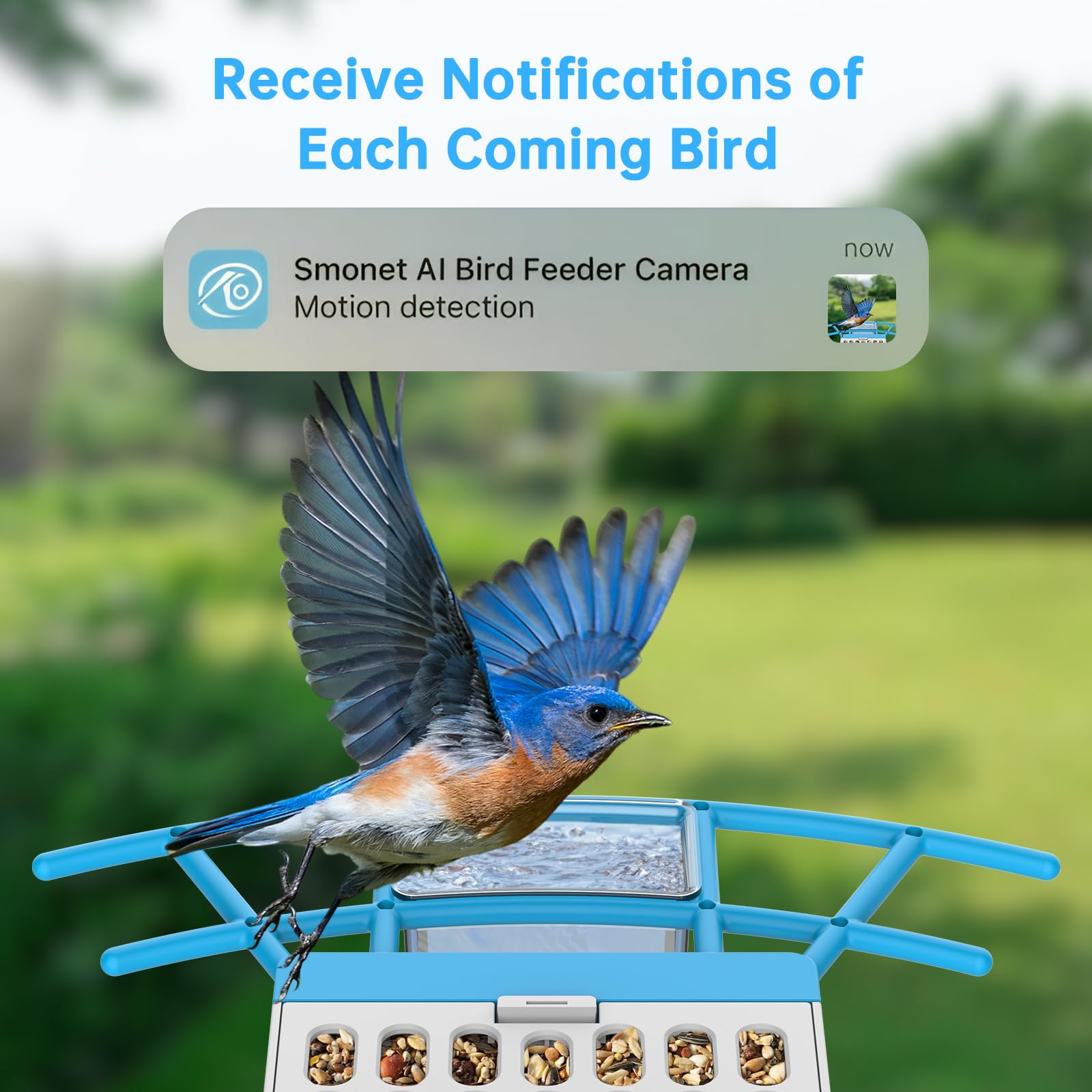 SMONET bird feeder live video on phone keeps you connected