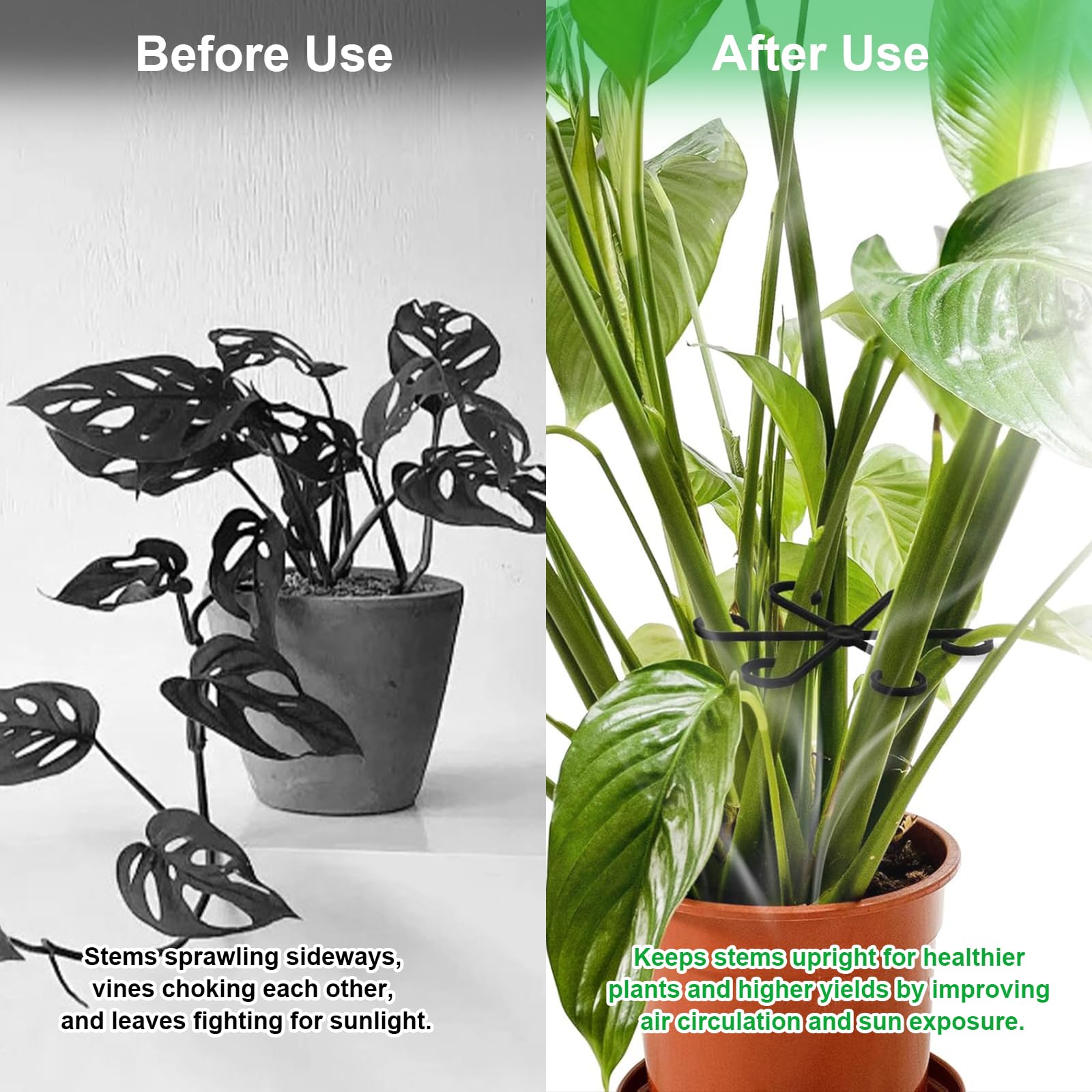 smrtcol multi-size stake set provides four sizes for various growth stages