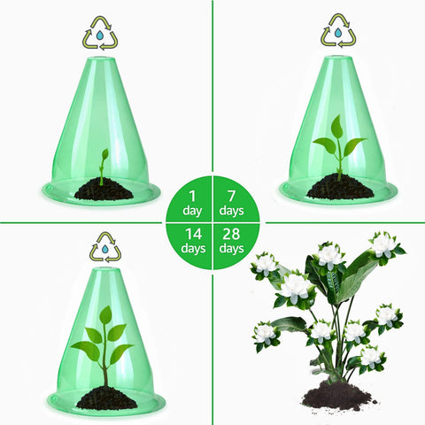 SMUJU cloche ensures excellent light penetration for growth