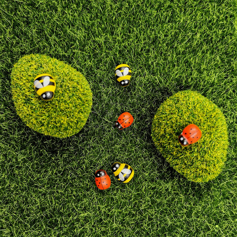 Snail Garden DIY fairy garden kit supports creative indoor displays.