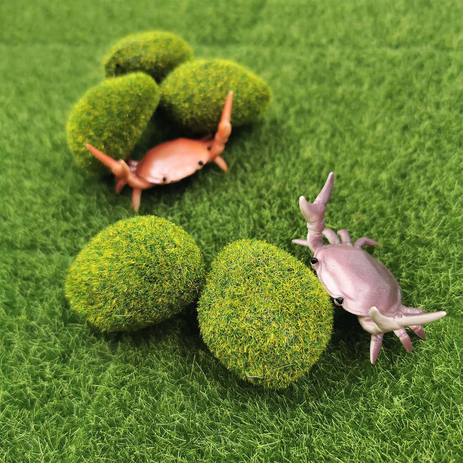 Snail Garden miniature garden setup inspires imaginative play and decor.