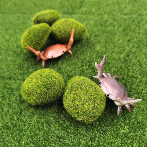 Snail Garden miniature garden setup inspires imaginative play and decor.