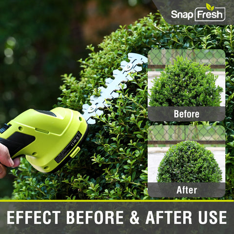 SnapFresh safety switch and controls for safer operation