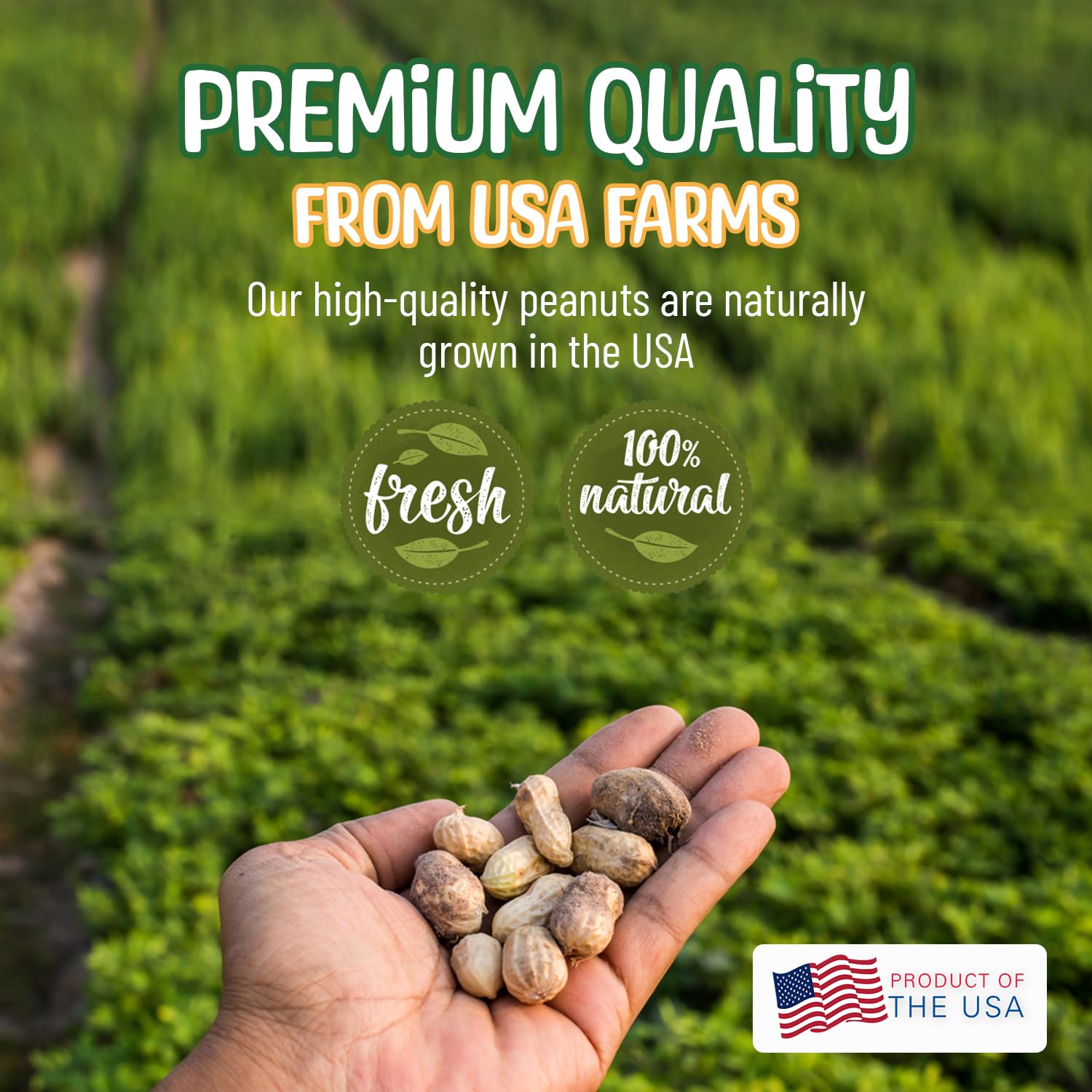 Sneaky Mango animal-grade peanuts ensure safe wildlife nutrition.