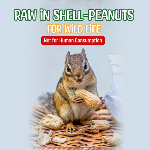 Sneaky Mango nutrition-rich peanuts provide energy and fiber for wildlife.