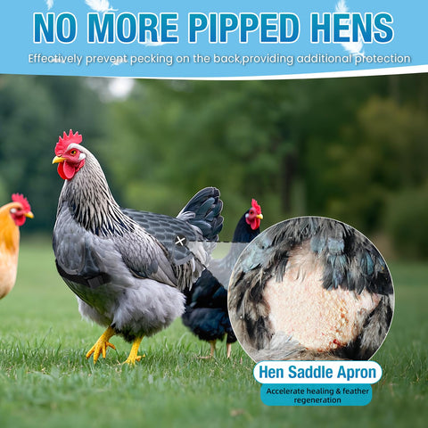 SNMGK chicken saddle easy on off gray for quick changes.