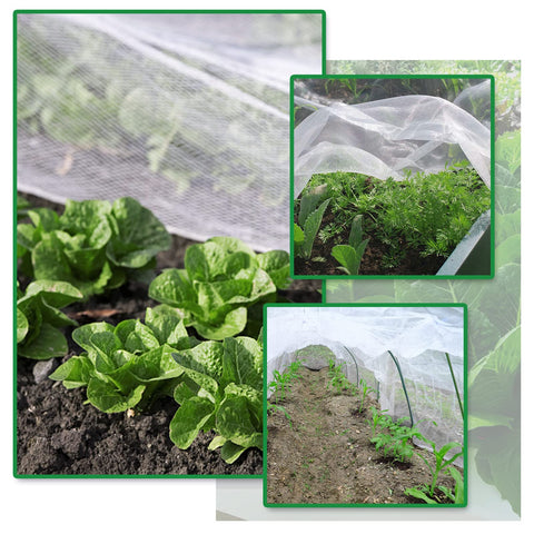 SnugNiture garden netting acts as a bird barrier for fruit and flowers.