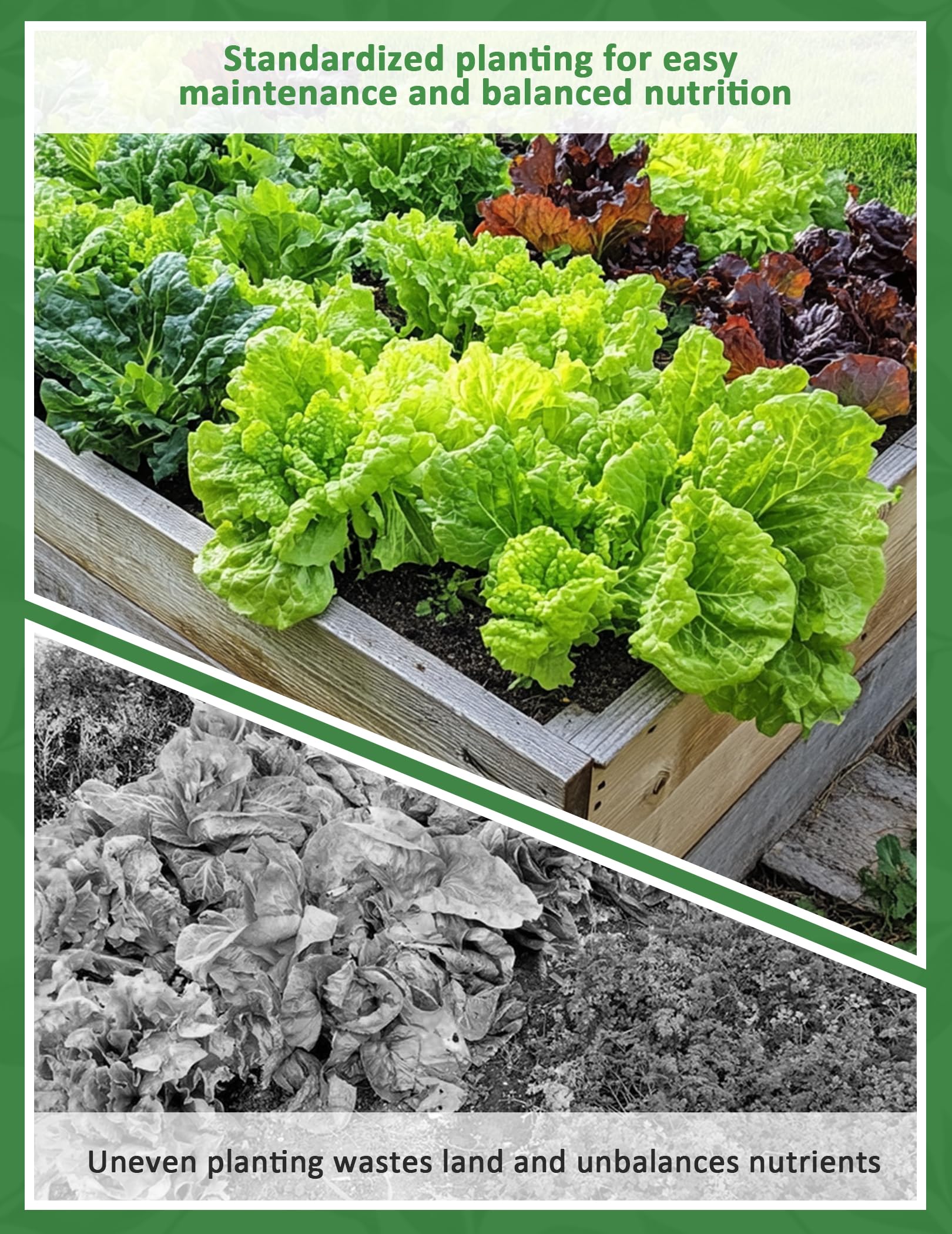 Snurfado Seed Spacer Tool enables dense planting with less effort