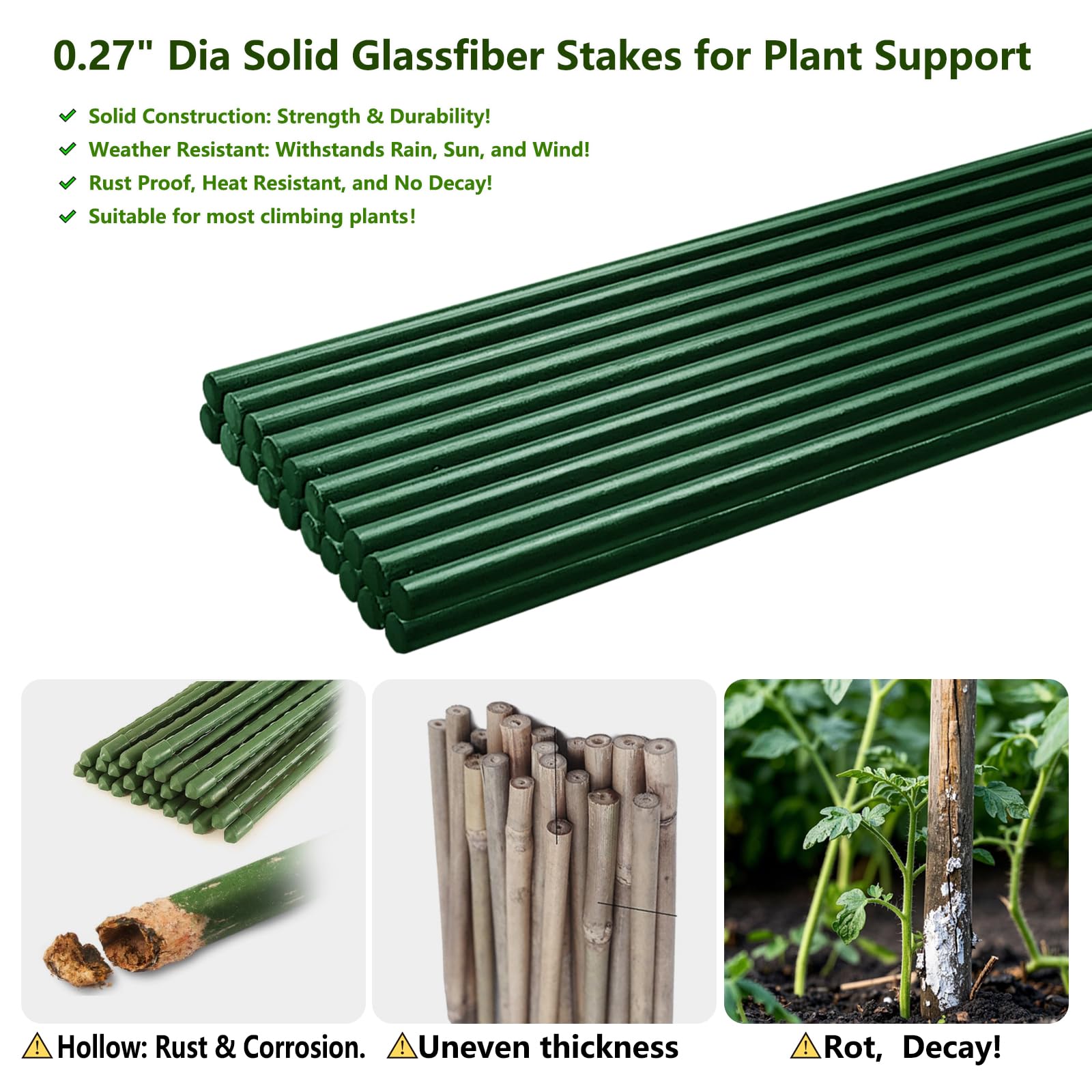 Green fiberglass tomato trellis stake shown in use for reliable plant support.