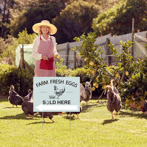 Soaoo arrows sign 4 catches attention from a distance for quick sales.