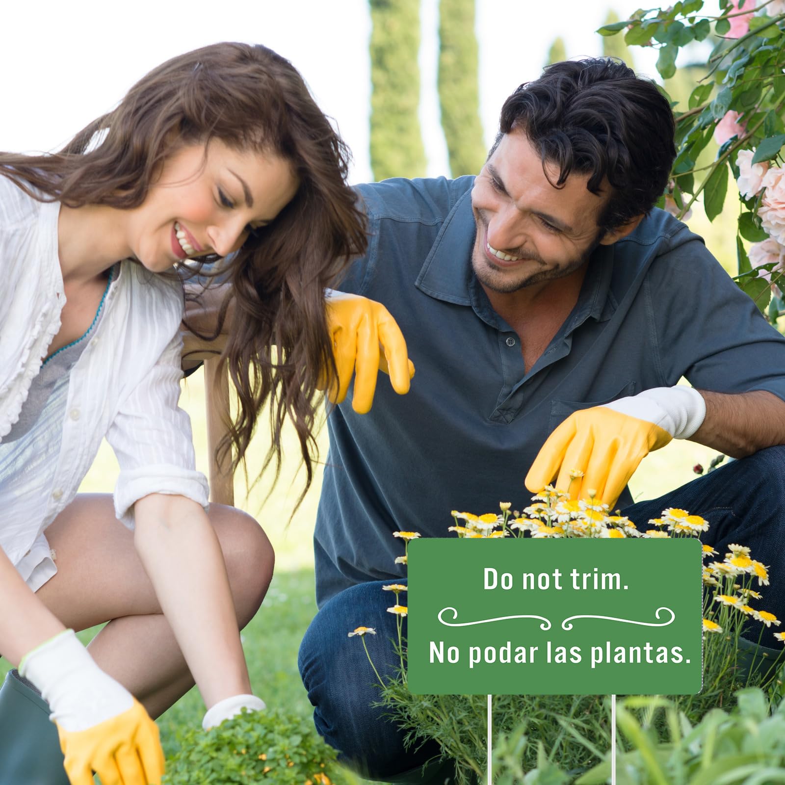 Soaoo four-sign package ready for gifting garden lovers.