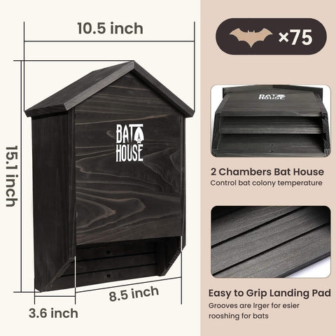 Sobalai bat box landing roost alcove easing entry for roosting bats and encouraging observation.