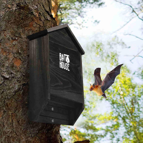 Sobalai bat house outdoor roost site encourages natural insect control nearby.
