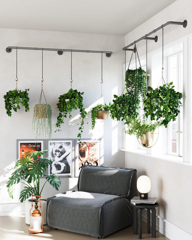 SOFITORG includes 12 chains and 24 hooks for versatile planter arrangement