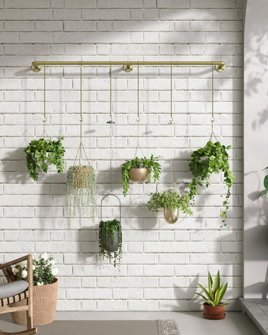 SOFITORG wall-ceiling mount plant hanger installed near window