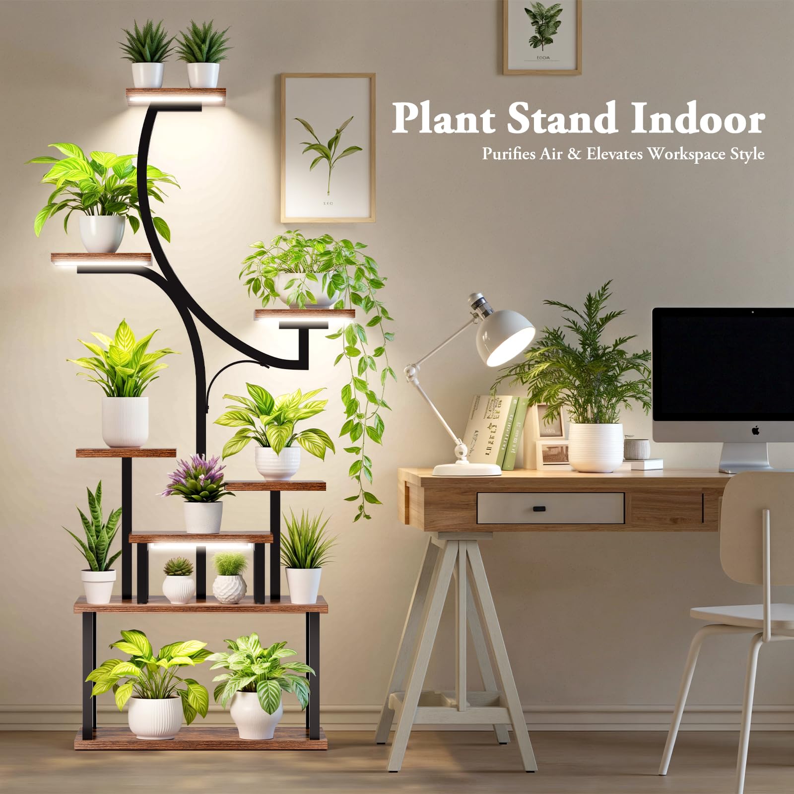 Softeen multipurpose display shelf suitable for plants, photos, or books.