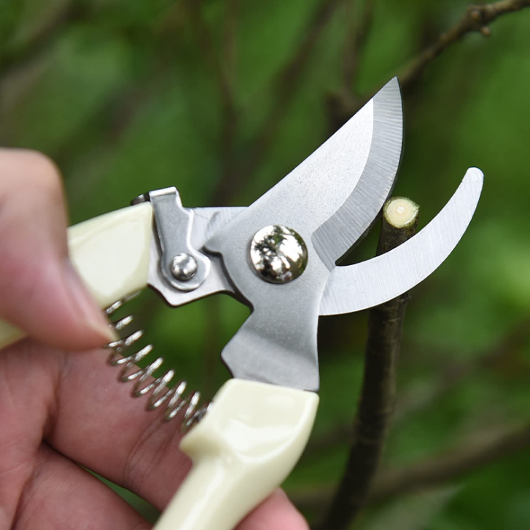 SoftSense bypass pruners with stainless steel blades provide clean, precise cuts.