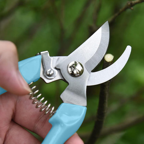 SoftSense blue bypass blade close-up showing precise cutting on stems