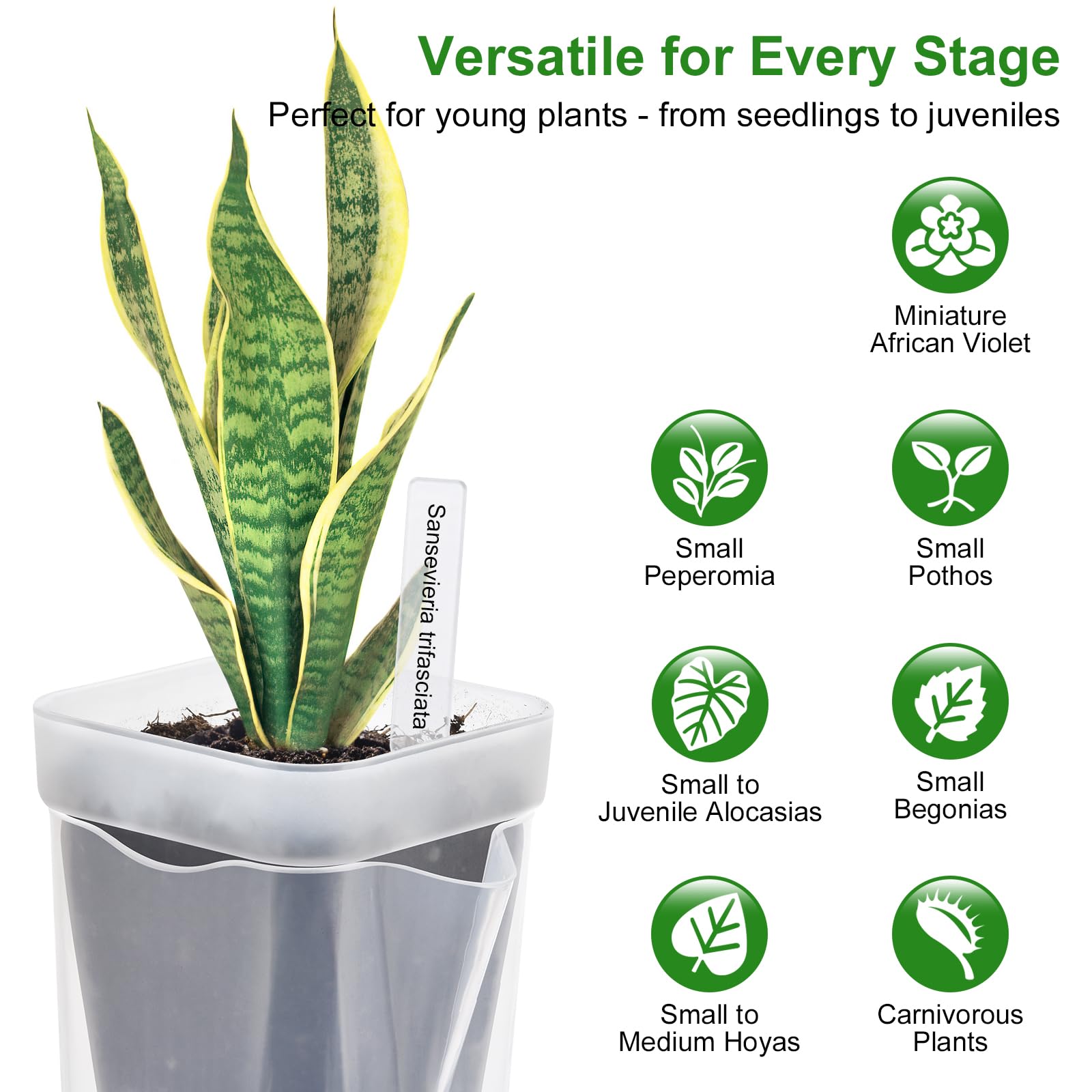Softum pot shows water level indicator for easy plant care