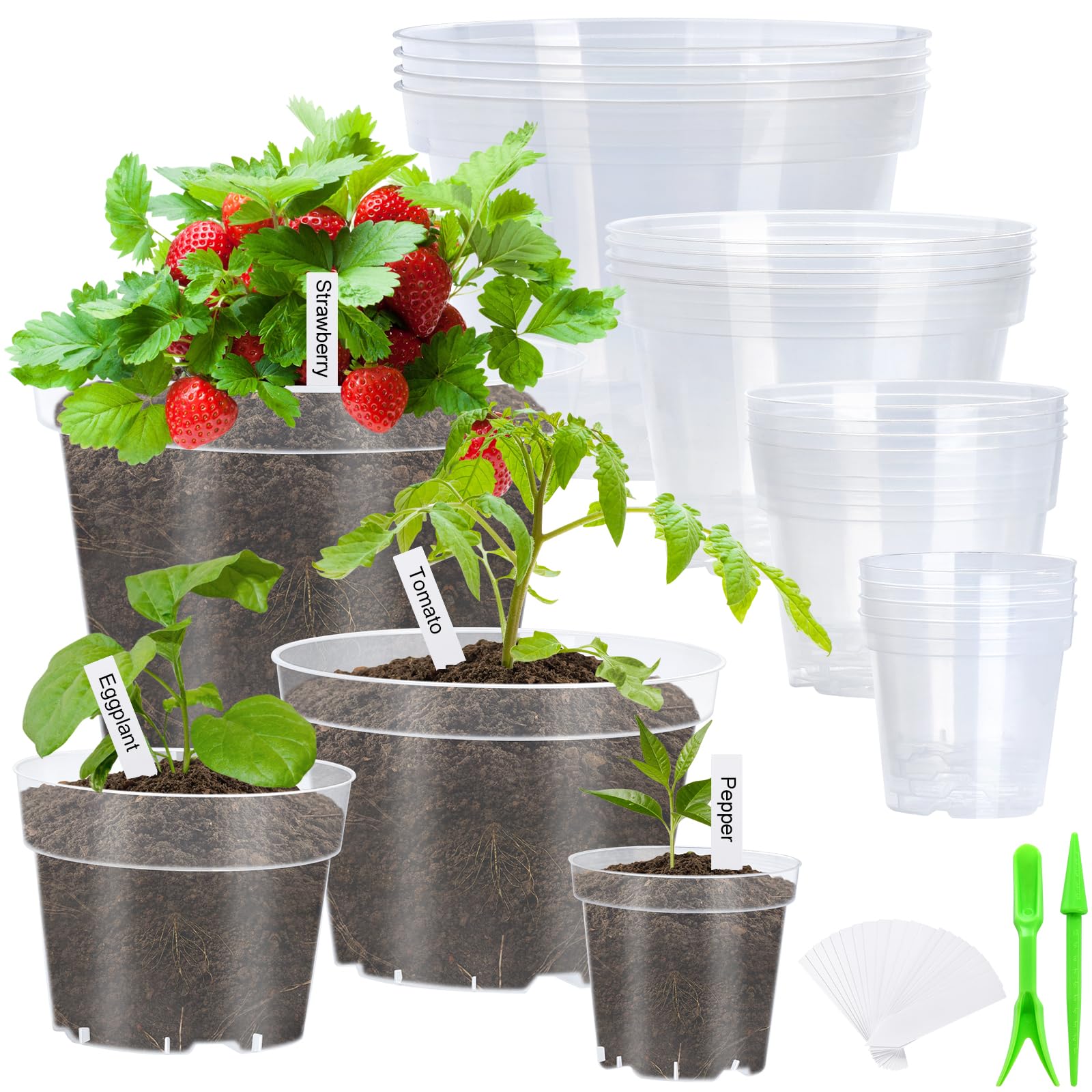 Softum clear 10-inch nursery pot with drainage supports healthy root growth for vegetables.