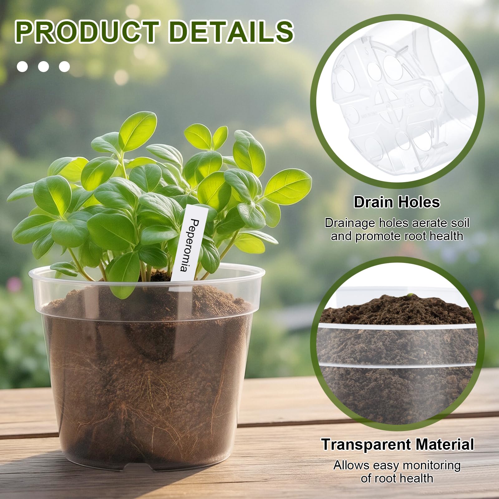 Softum transplanting collection with clear pots for indoor and outdoor use.