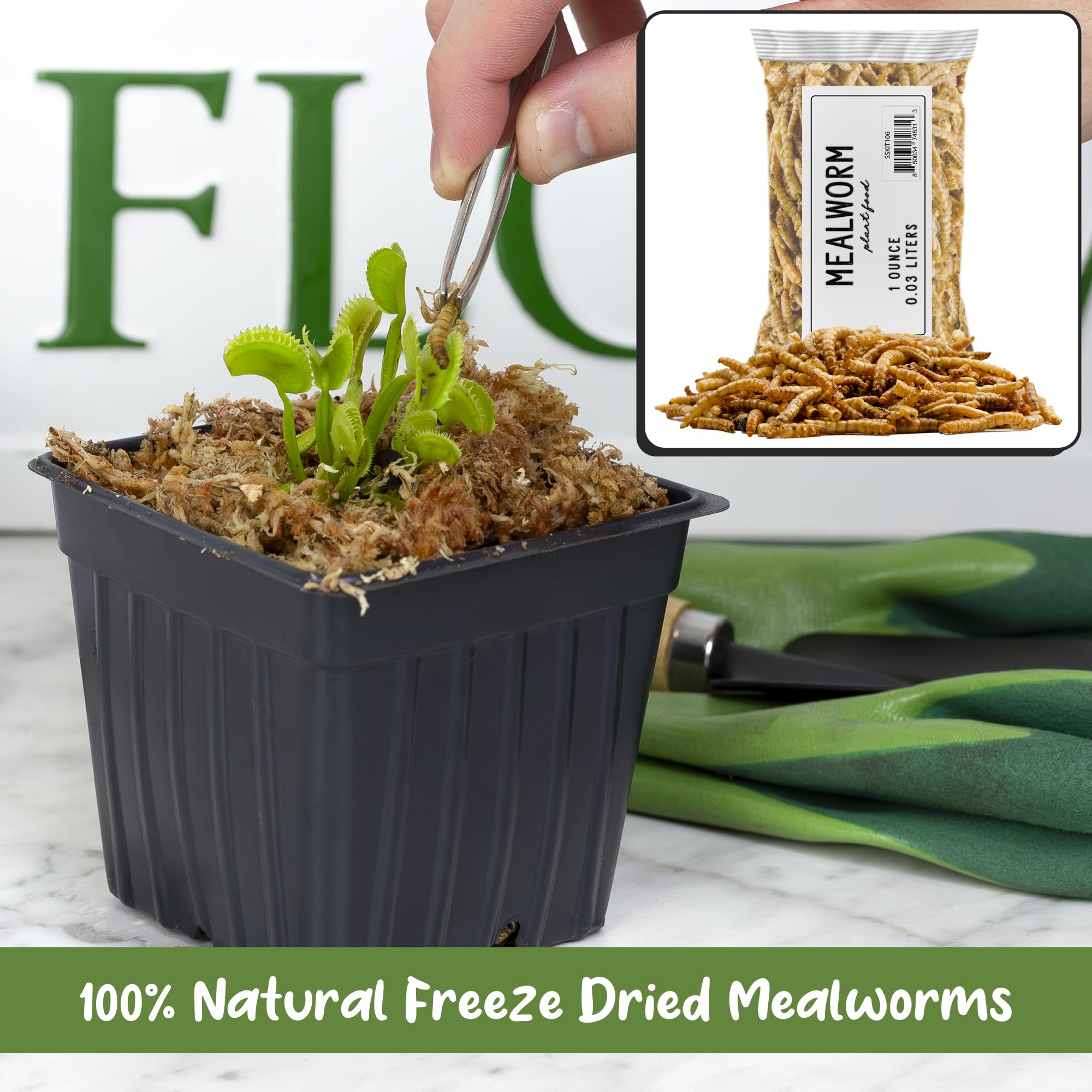 Soil Sunrise 1 oz packaging highlights natural, preservative-free feed for carnivorous plants.