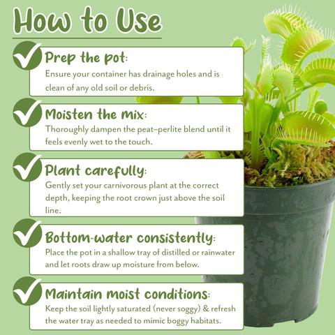 Soil Sunrise 2qt packaging signals natural ingredients and easy repotting