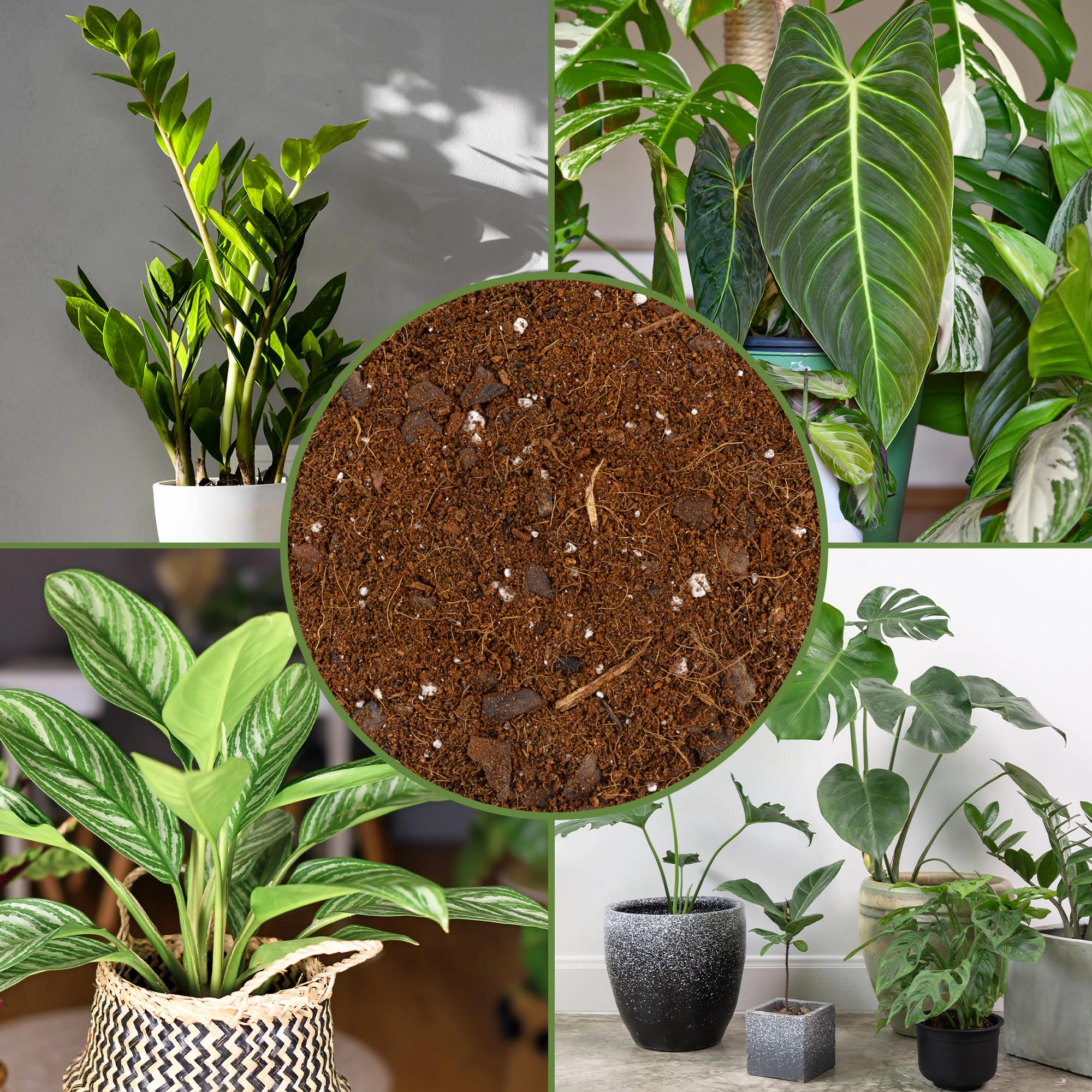 8 quart Soil Sunrise bag label showing large potting capacity
