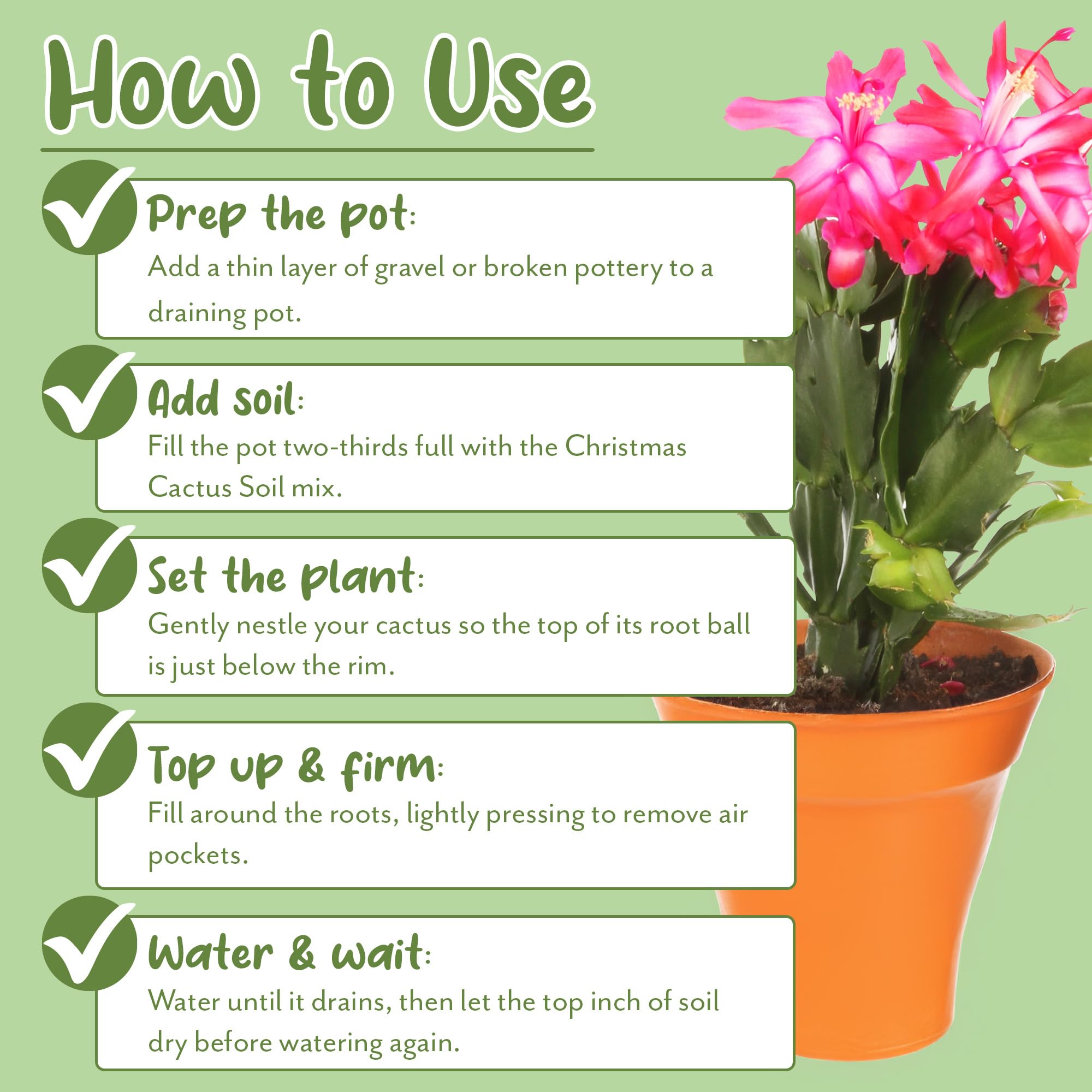 Soil Sunrise aerated mix prevents soil compaction for easy repotting.