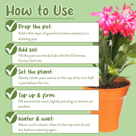 Soil Sunrise aerated mix prevents soil compaction for easy repotting.