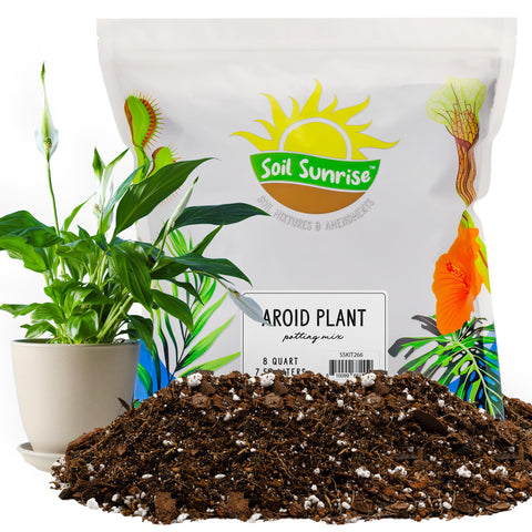 Soil Sunrise aroid soil mix in bag supports healthy root development
