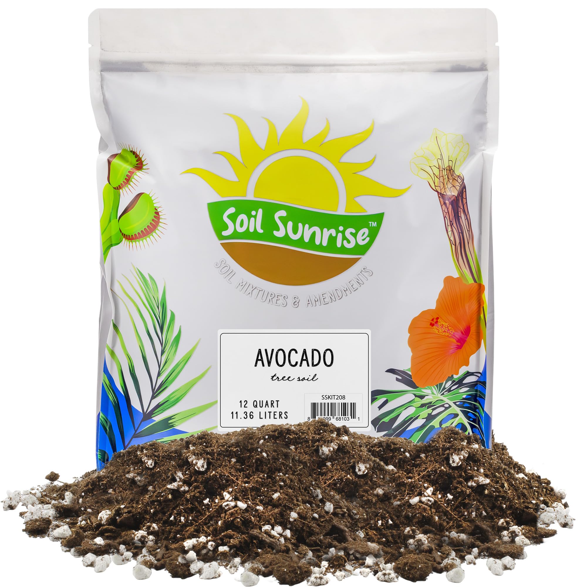 Soil Sunrise avocado seedling in a pot with airy, well-draining mix.