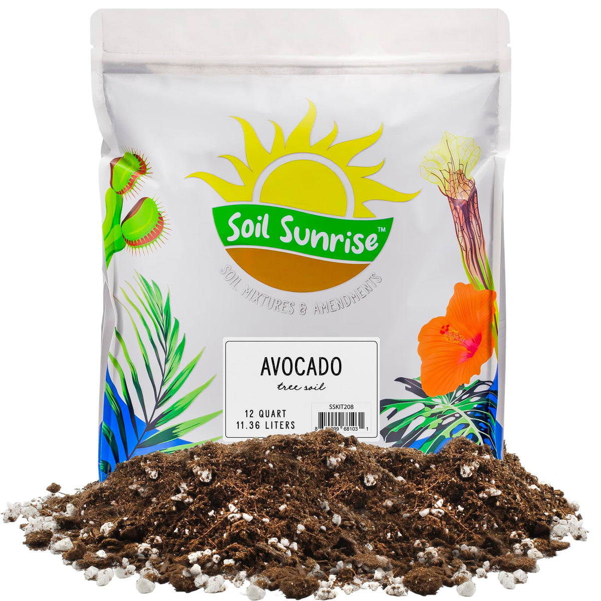 Soil Sunrise avocado seedling in a pot with airy, well-draining mix.