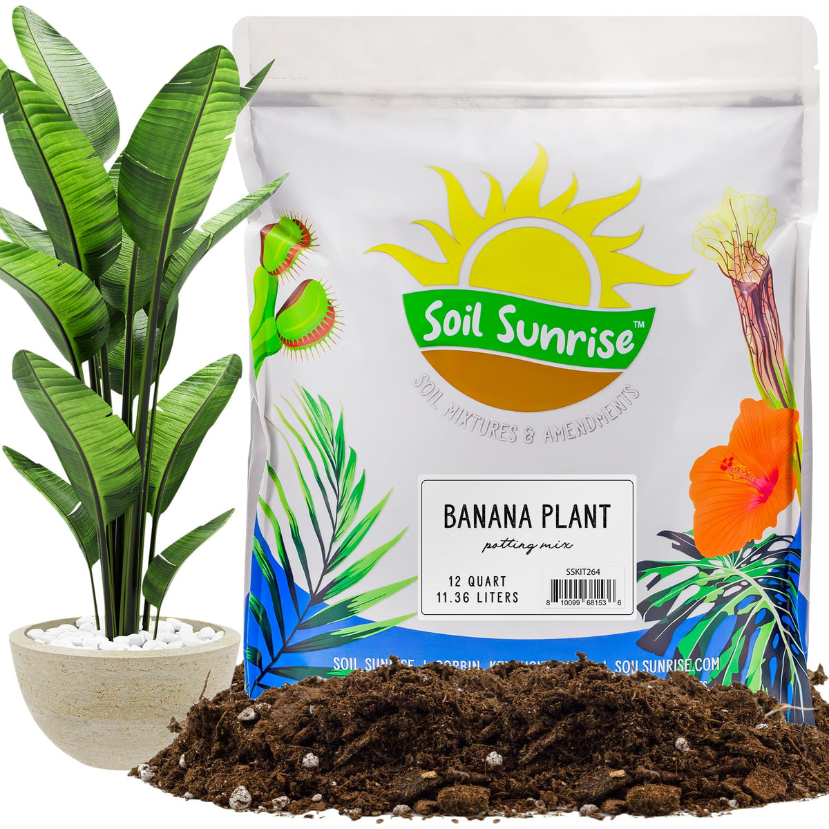 Soil Sunrise banana tree potting soil mix improves drainage and root support.