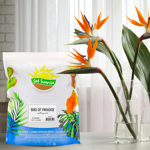 Soil Sunrise Bird of Paradise mix shown in a plant container for patio use.