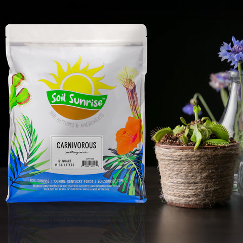 Soil Sunrise Carnivorous Soil for Sundews delivers quick drainage for vibrant traps