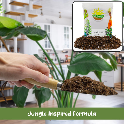 Activated charcoal component in Soil Sunrise for soil health and filtration