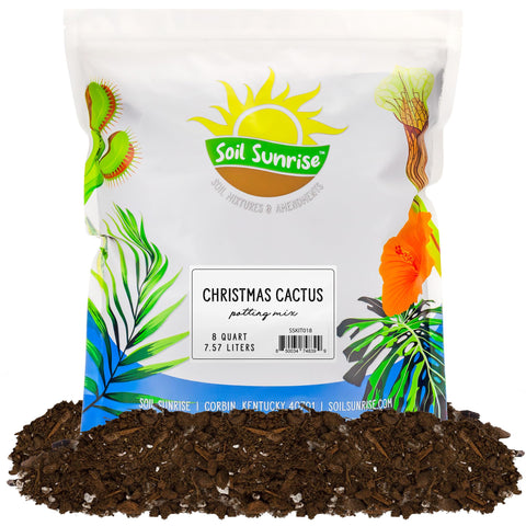 Soil Sunrise Christmas Cactus potting soil 8 quarts promotes healthy root aeration and drainage.