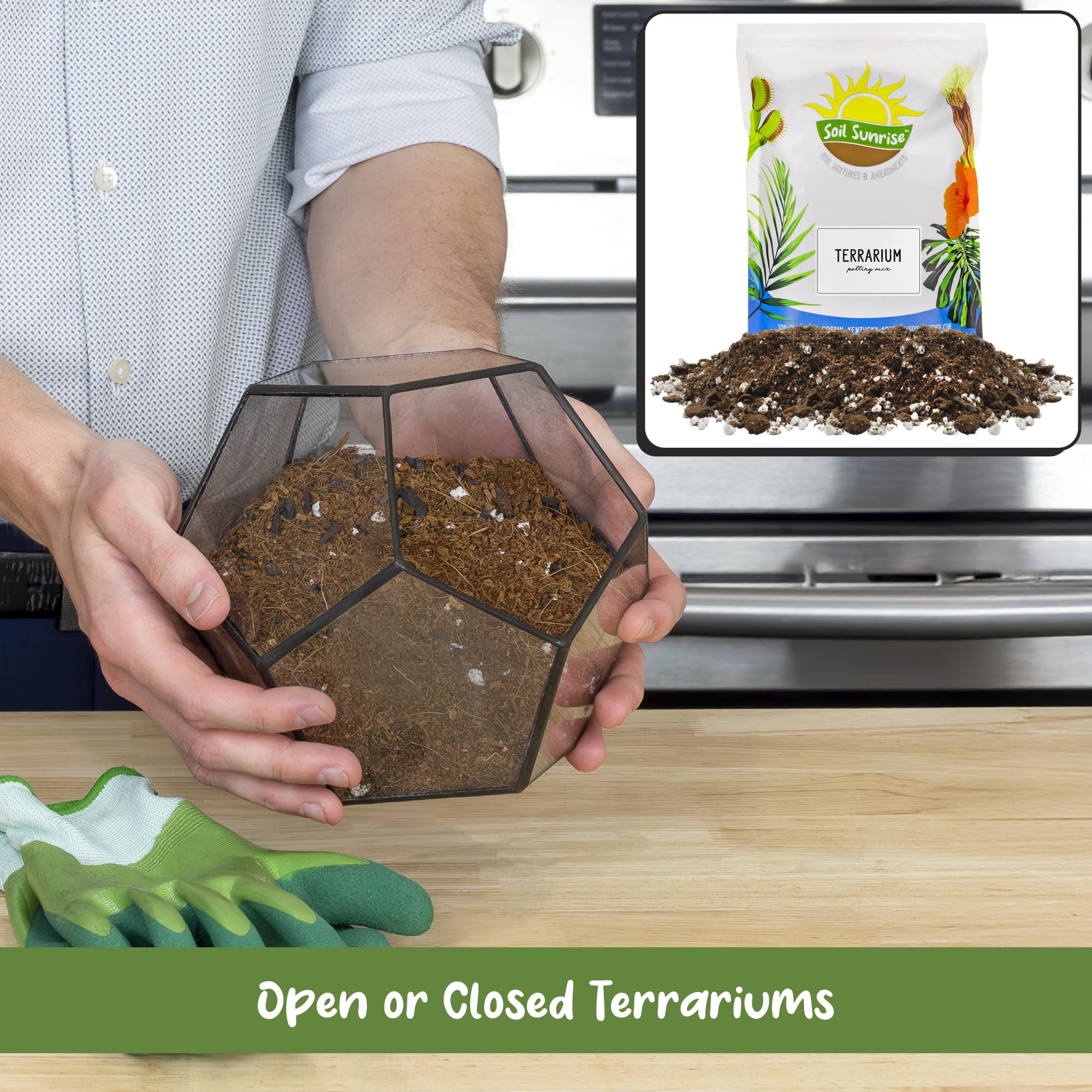 Soil Sunrise coco coir base offers a natural substrate for terrarium growth.