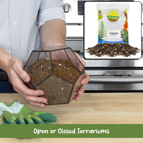 Soil Sunrise coco coir base offers a natural substrate for terrarium growth.